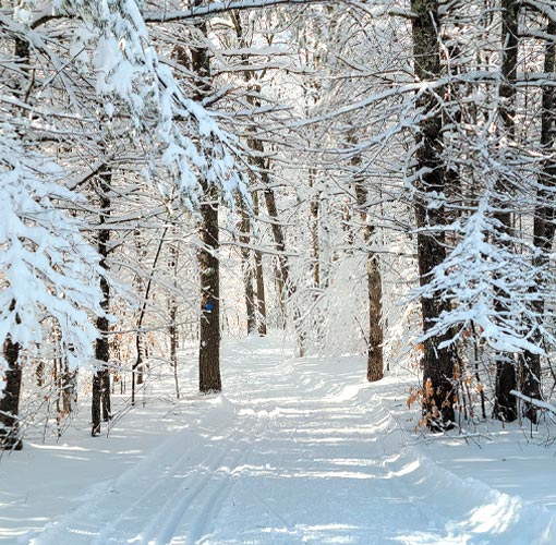 Explore Winter